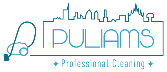 puliams professional cleaning